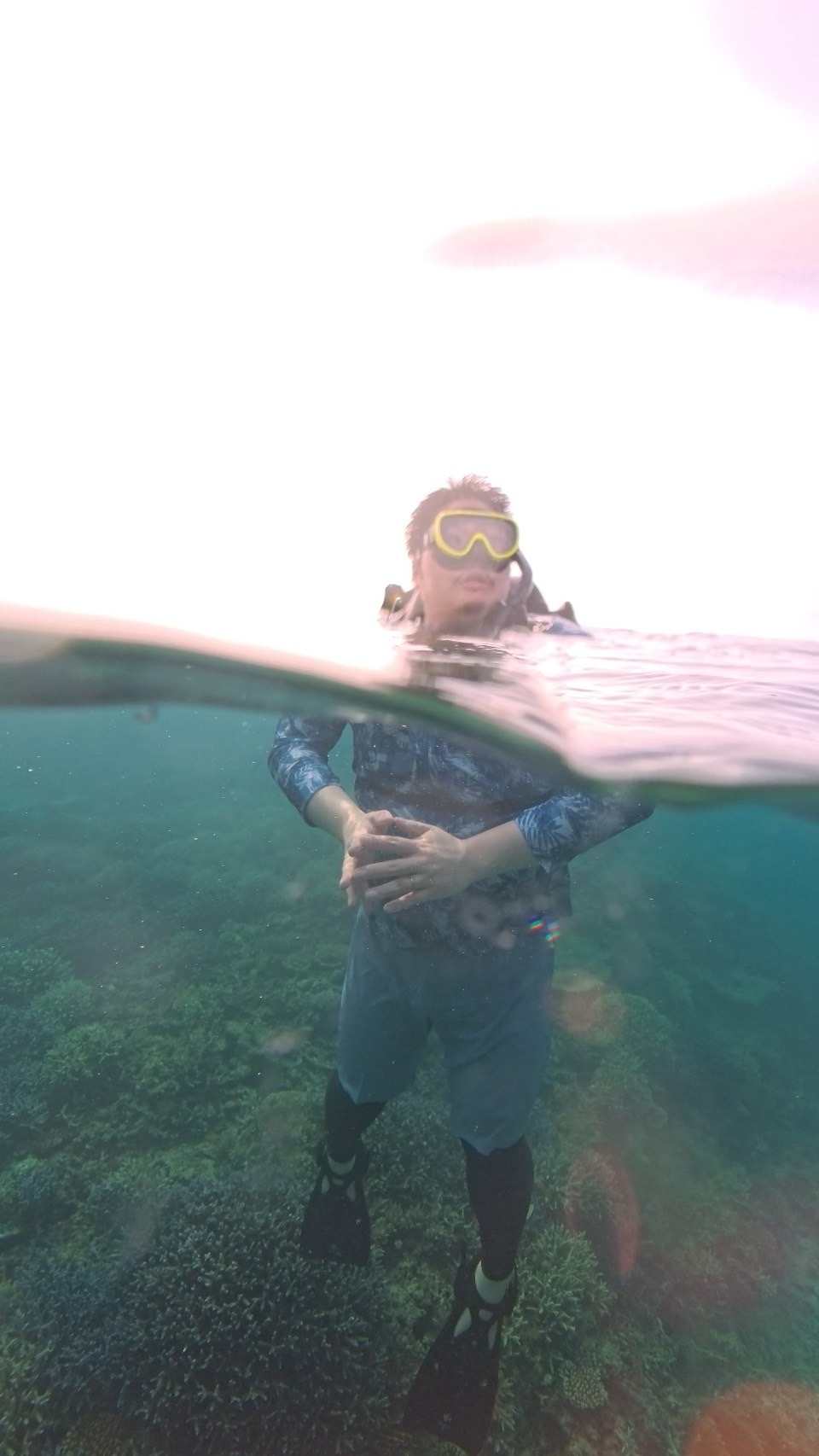 水面下に光が差し込む海の中